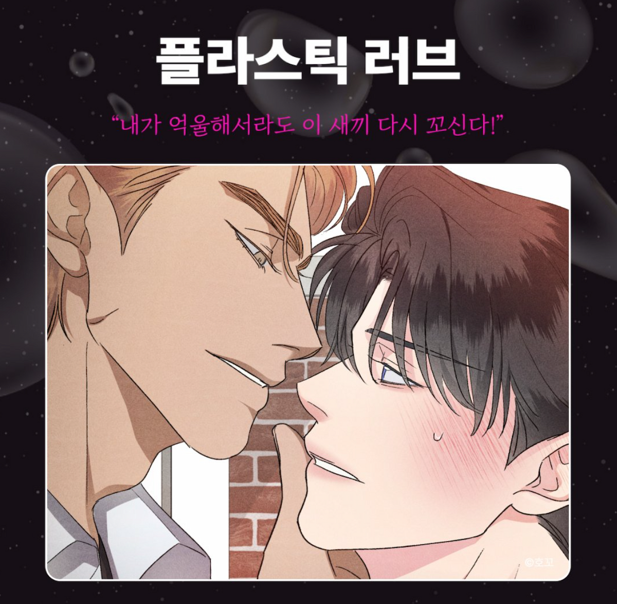 플라스틱 러브, bl 웹툰, 헤븐리, 19금 웹툰, bl 추천, 웹툰 추천